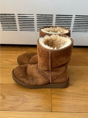 Classic Chestnut Uggs